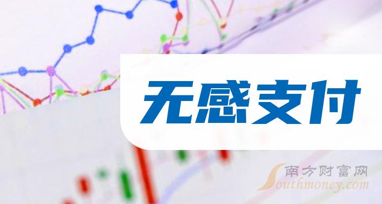 无感支付排名前十的上市公司有哪些_11月24日市盈率排行榜