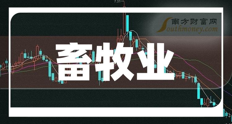 >畜牧业概念股票：成交额排名前十的股票一览（2023年11月24日）