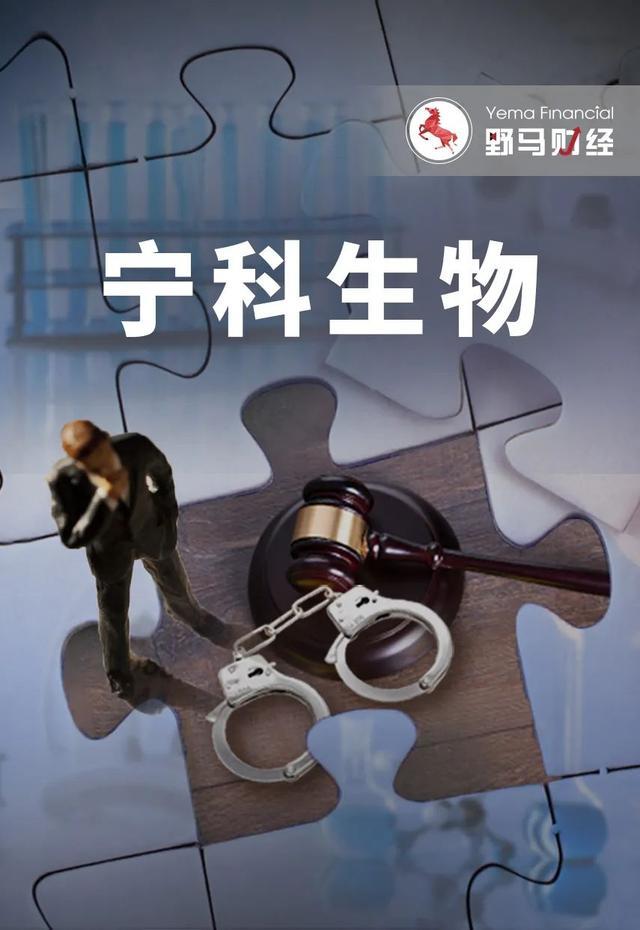 >“钢丝绳第一股”豪掷364套房换股，老板曾涉刑事案件瞒报3年