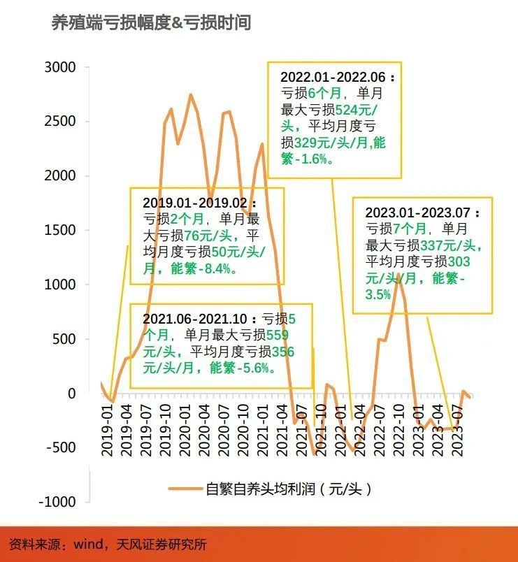 最大月亏559元/头，养猪首富煎熬漫长猪周期