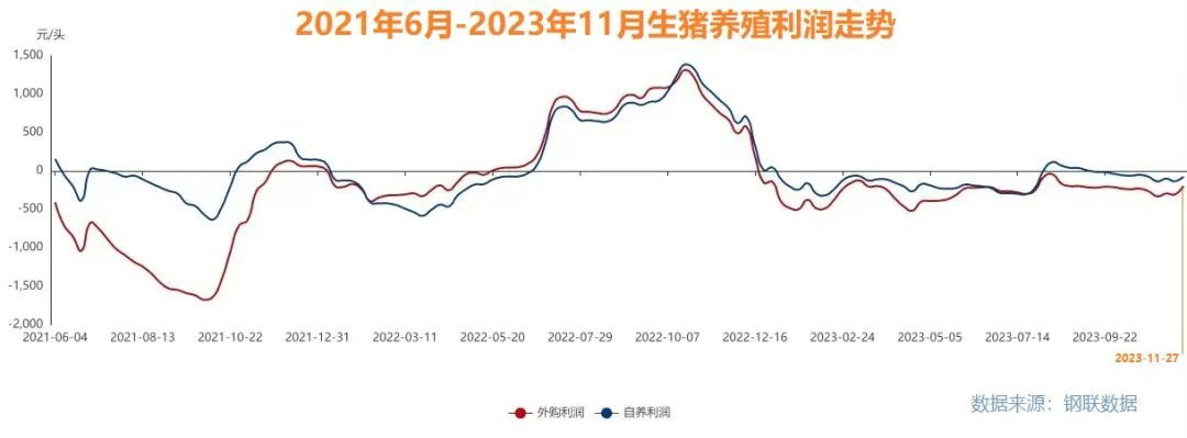 最大月亏559元/头，养猪首富煎熬漫长猪周期