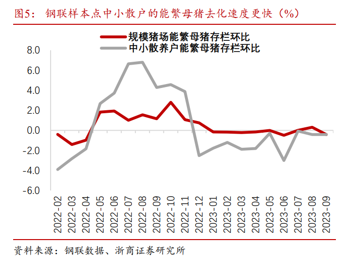 最大月亏559元/头，养猪首富煎熬漫长猪周期