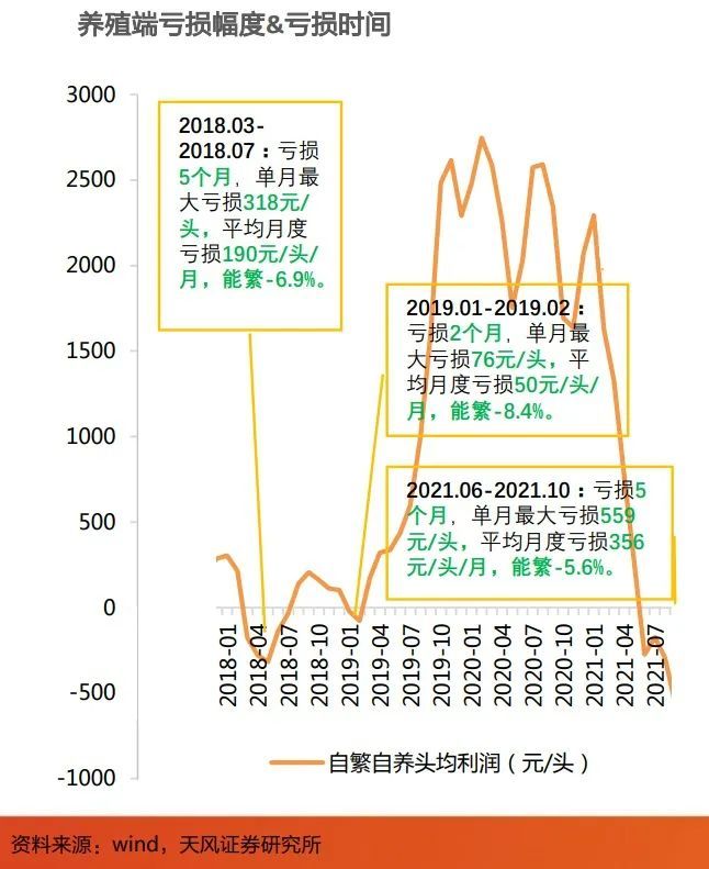 最大月亏559元/头，养猪首富煎熬漫长猪周期