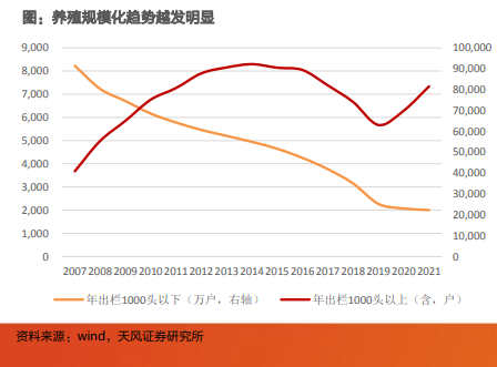 最大月亏559元/头，养猪首富煎熬漫长猪周期