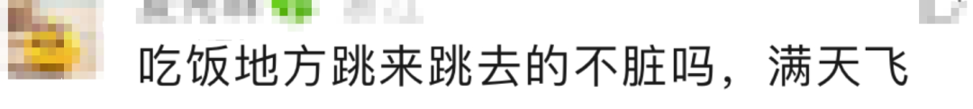 “科目三”突然爆火，有人2天增粉20万！有服务员因此月入过万？海底捞回应…