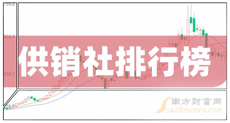 >供销社上市公司排行榜：11月28日市盈率前10名单