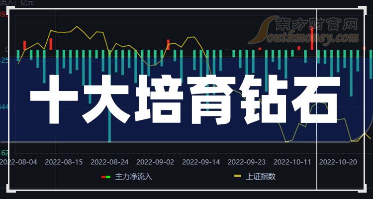 培育钻石十大排行榜-2023年第三季度相关股票净利率排名一览