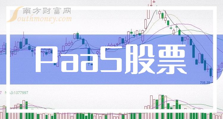 >12月1日PaaS板块股票市盈率排名靠前的10家公司