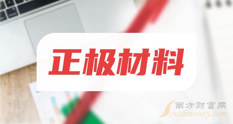 正极材料企业前十名|12月8日市值排行榜前10