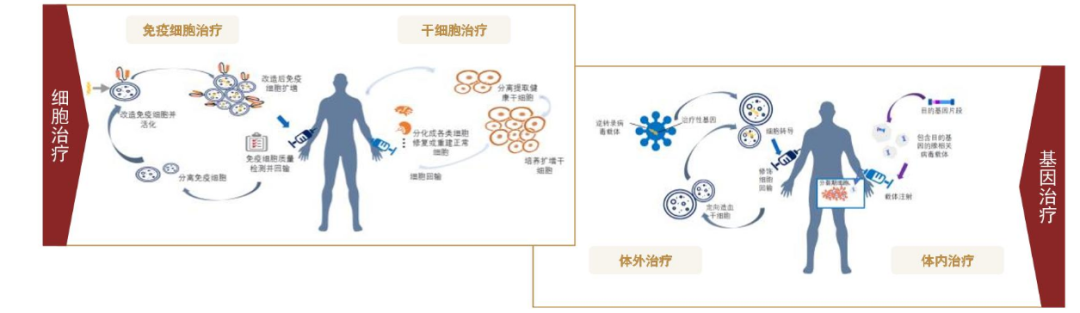 ChatGPT之后，人类又打开了“基因编辑”魔盒