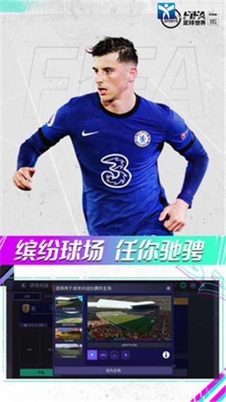 fifa足球世界怎么选择队徽