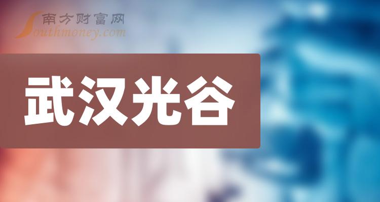 武汉光谷概念股名单，强烈建议收藏！（2023/12/13）