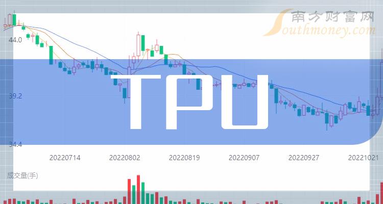 TPU10大相关企业排行榜_市盈率排名前十查询（2023年12月13日）