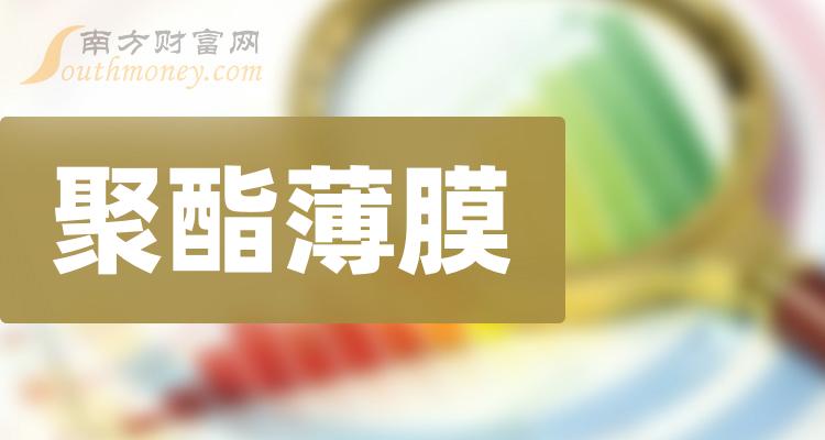 共一只，聚酯薄膜上市公司龙头（2023/12/25）