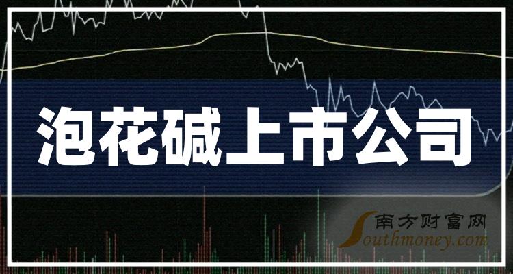 泡花碱上市公司排行榜，第三季度营收前十名