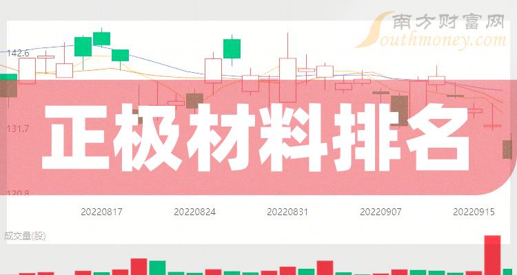 正极材料排名前十的公司有哪些_12月29日市值排行榜