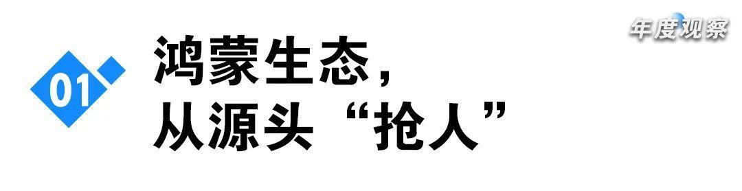 华为鸿蒙年鉴：刚过生死线，谁在拓边疆？