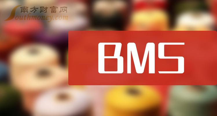 BMSA股上市龙头企业是这些，有你关注的吗？（2023/12/29）