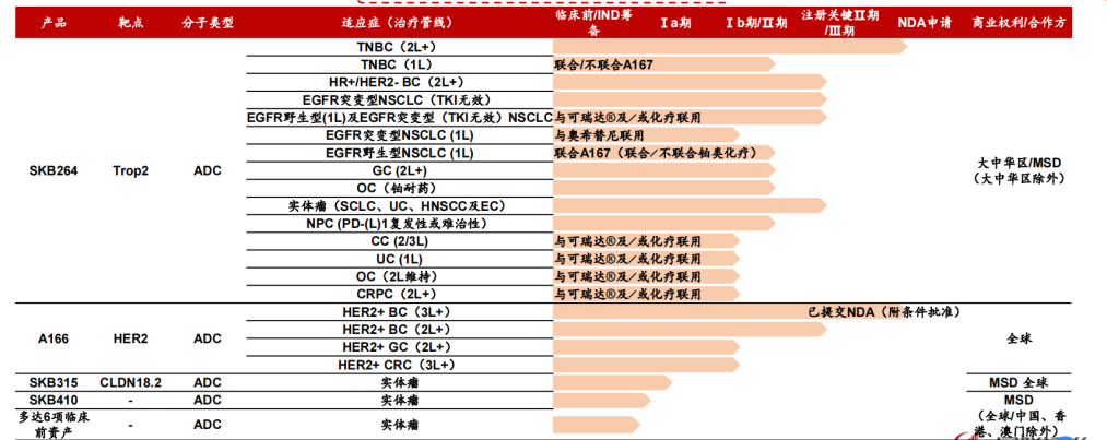 中国ADC投资地图2024：静待新王