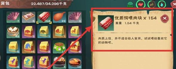 创造与魔法饲喂肉块怎么做