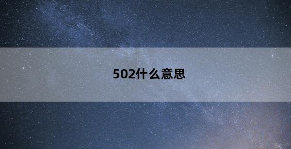 502什么意思